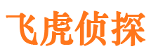 乐安市侦探调查公司